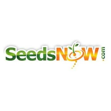 SeedsNow brand logo for seedsnow.com