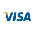 Visa brand logo for littlewarrior.com