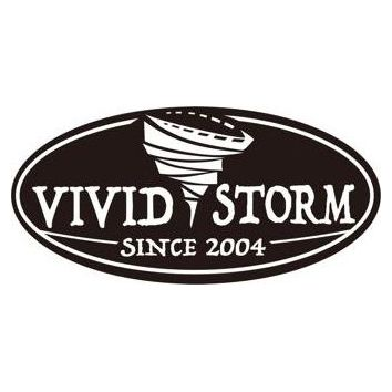 VIVIDSTORM brand logo for vividstormscreen.com